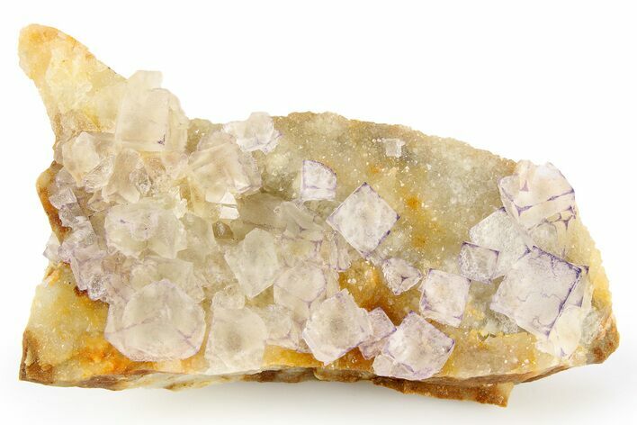 Purple Edge Fluorite - Qinglong Mine, China #258133